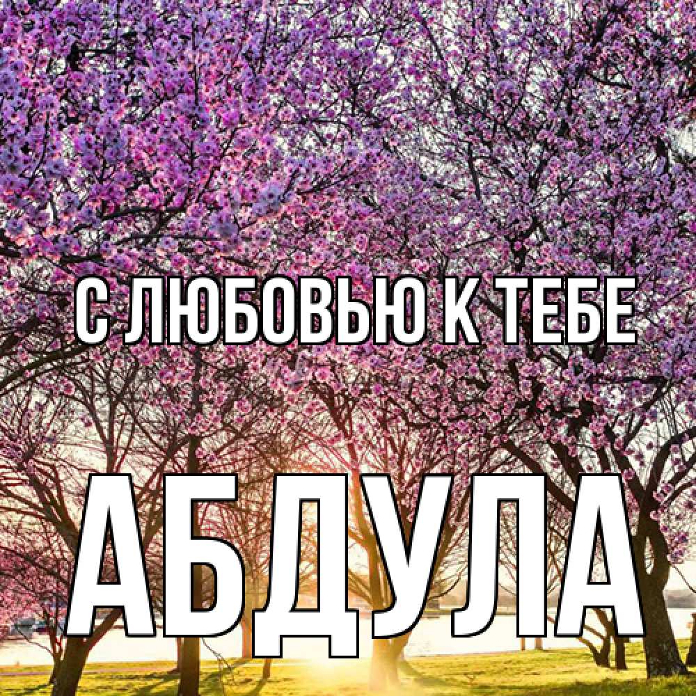 Открытка  с именем. Абдула, С любовью к тебе  