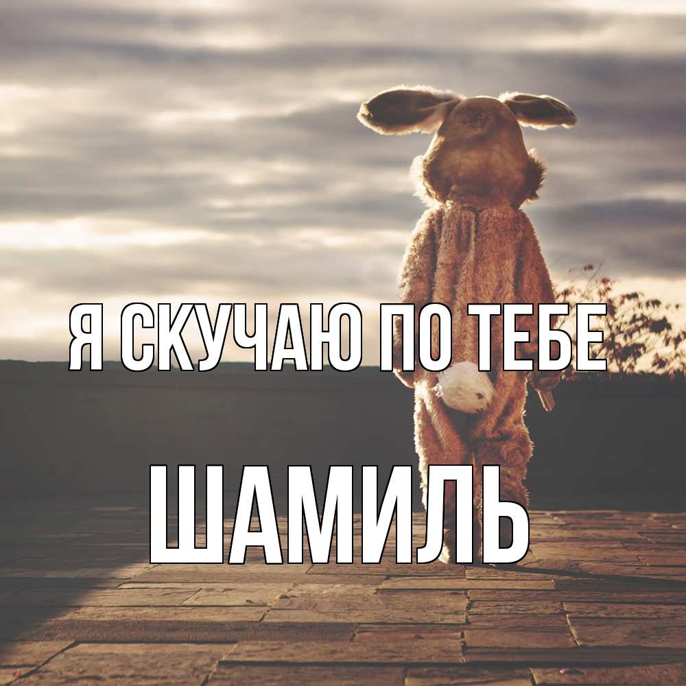 Открытка  с именем. Шамиль, Я скучаю по тебе  