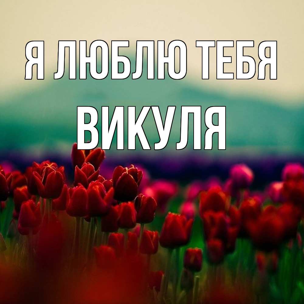 Открытка  с именем. Викуля, Я люблю тебя  