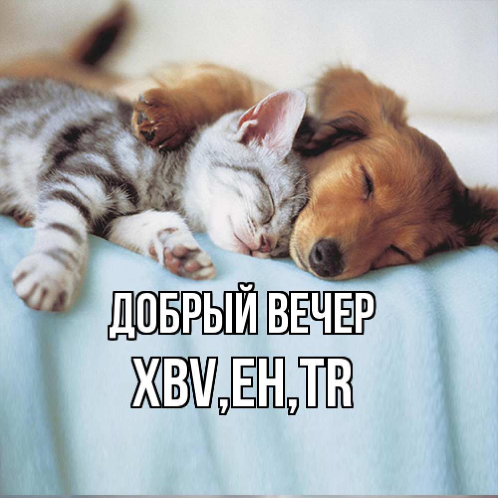 Открытка  с именем. xbv, Добрый вечер  