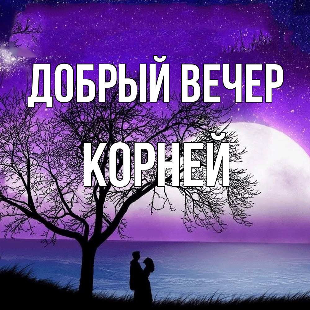 Открытка  с именем. Корней, Добрый вечер  