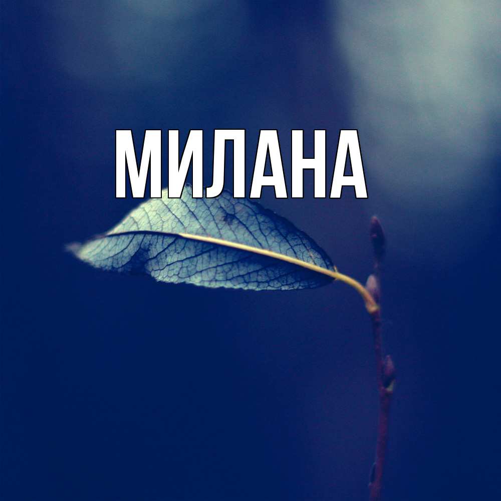Открытка  с именем. Милана, Главная  