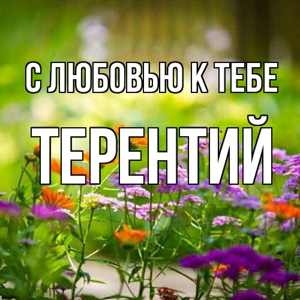 Открытка  с именем. Терентий, С любовью к тебе  