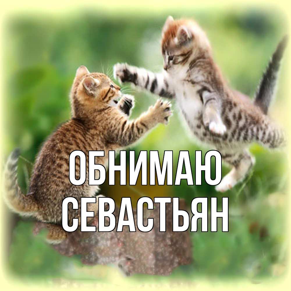 Открытка  с именем. Севастьян, Обнимаю  