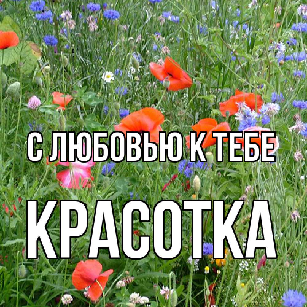 Открытка  с именем. Красотка, С любовью к тебе  