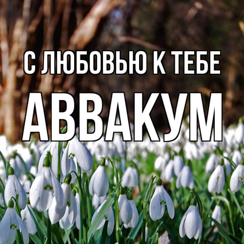 Картинка С любовью к тебе, Аввакум