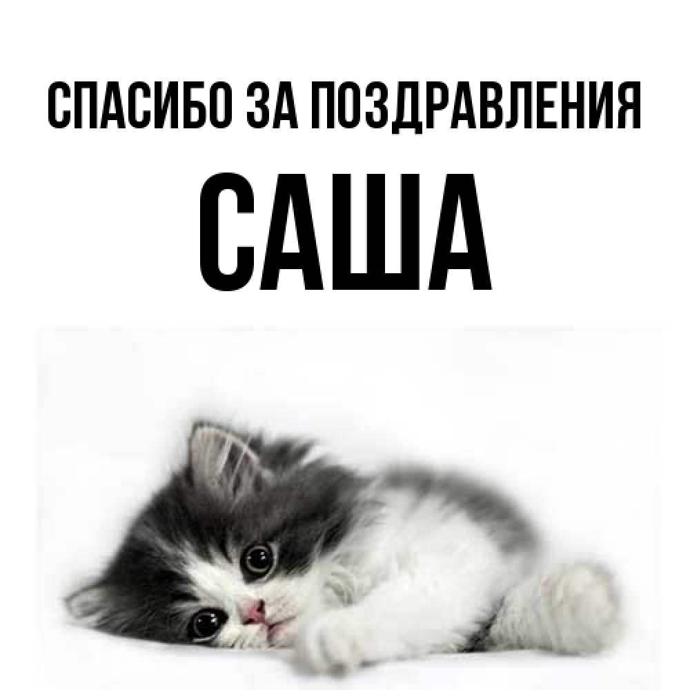 Открытка  с именем. Саша, Спасибо за поздравления  