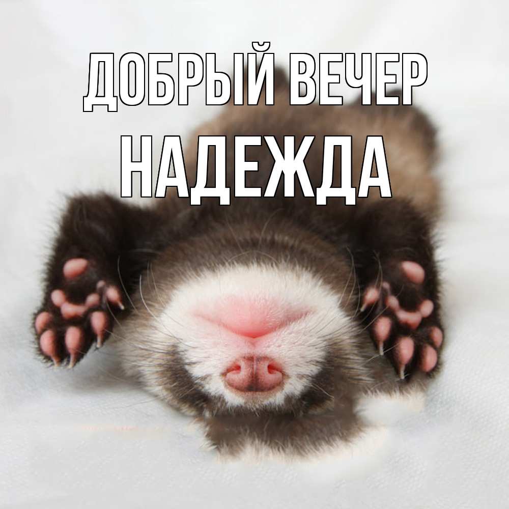 Открытка  с именем. Надежда, Добрый вечер  
