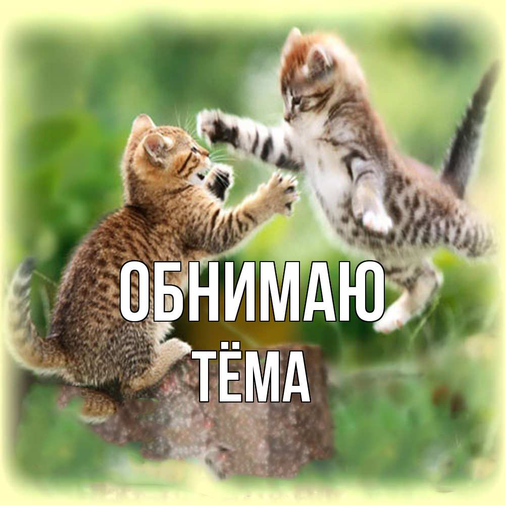 Открытка  с именем. Тёма, Обнимаю  