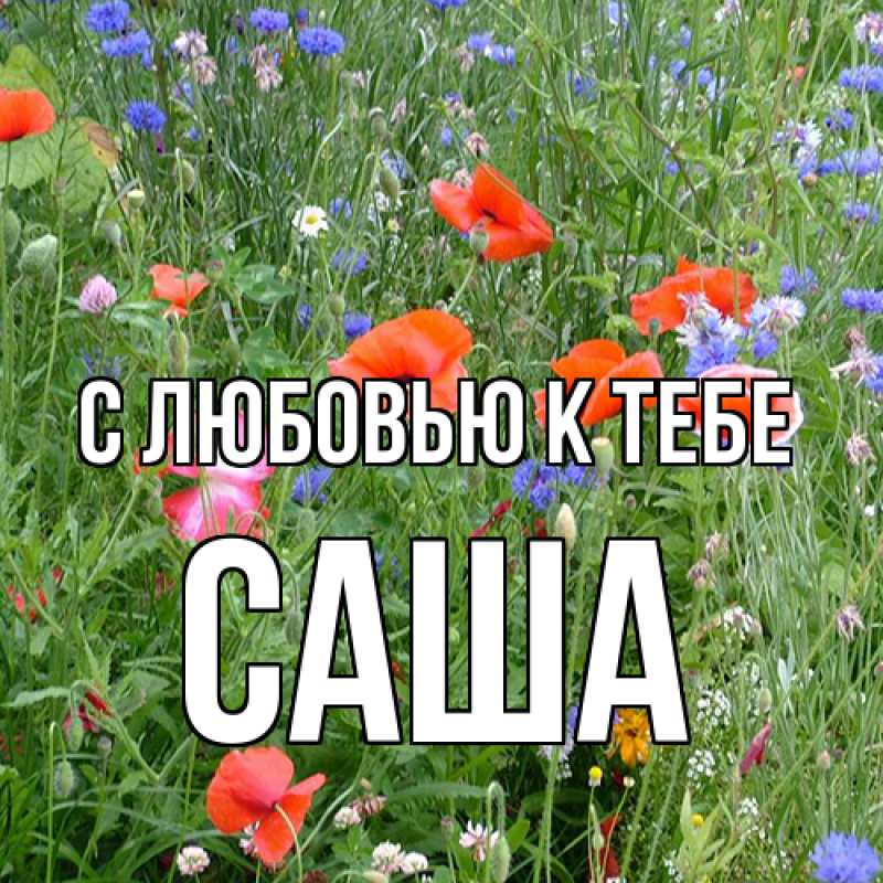 Картинка С любовью к тебе, Саша
