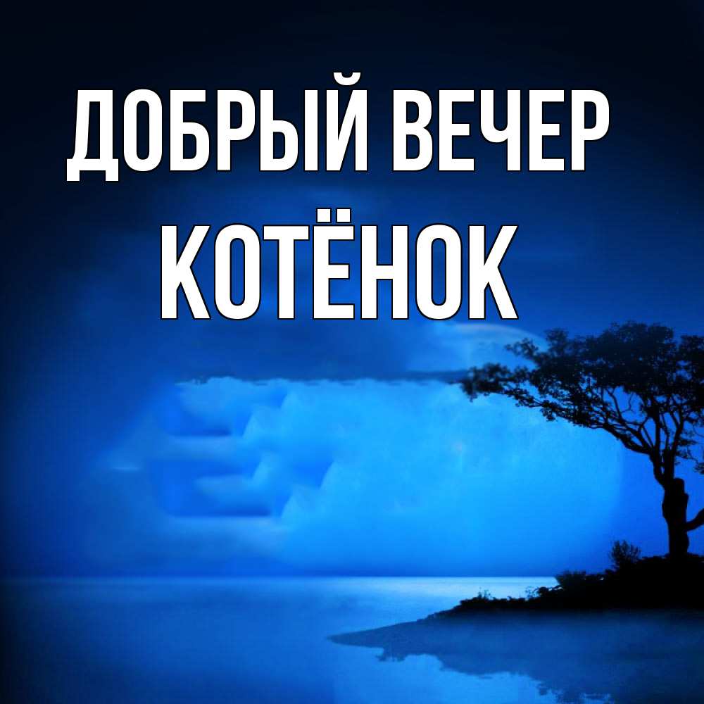 Открытка  с именем. Котёнок, Добрый вечер  