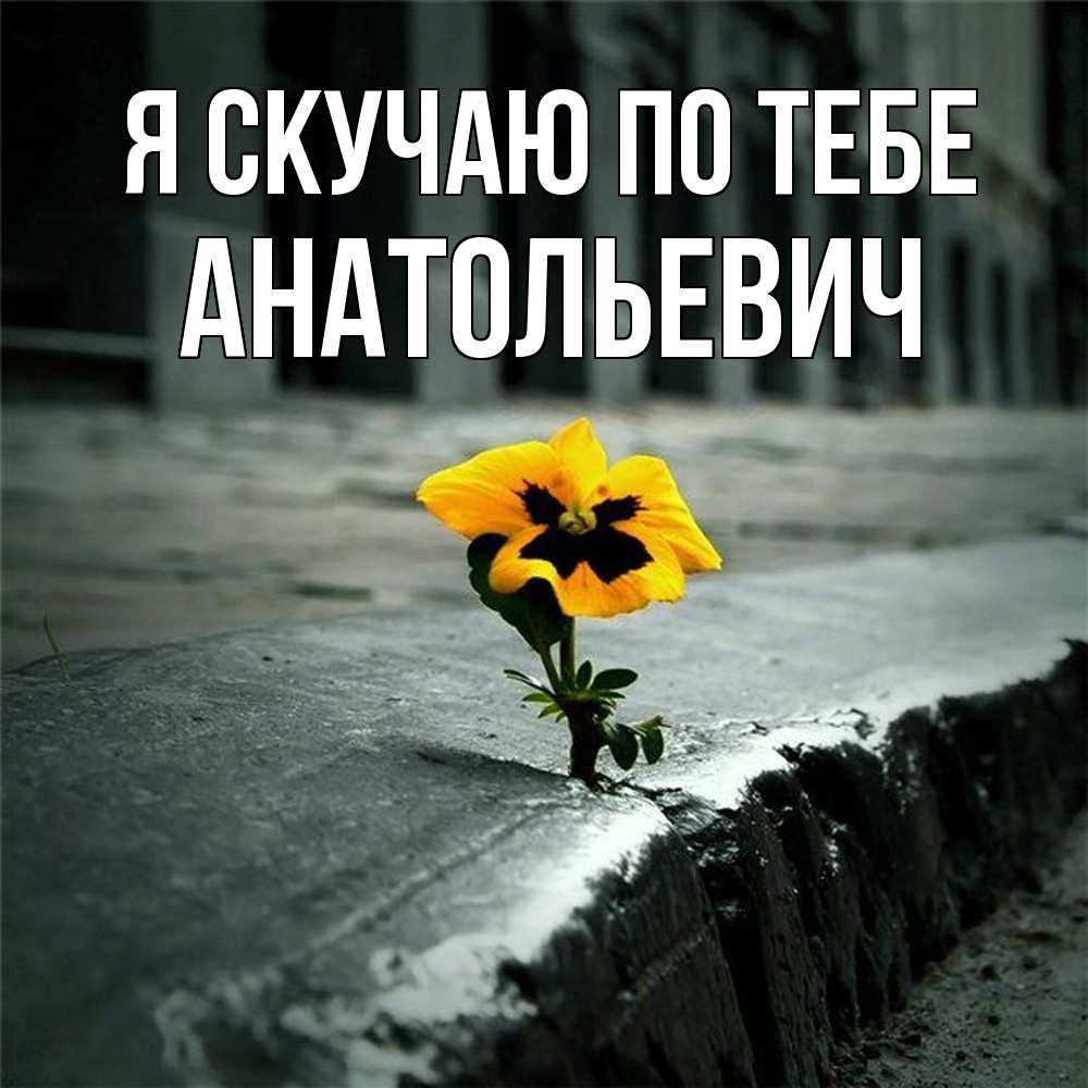 Открытка  с именем. Анатольевич, Я скучаю по тебе  