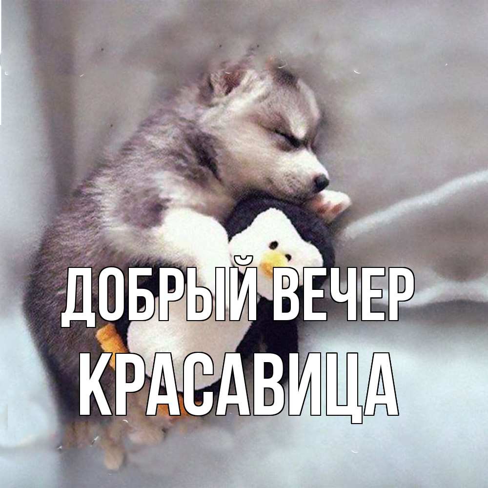 Открытка  с именем. Красавица, Добрый вечер  