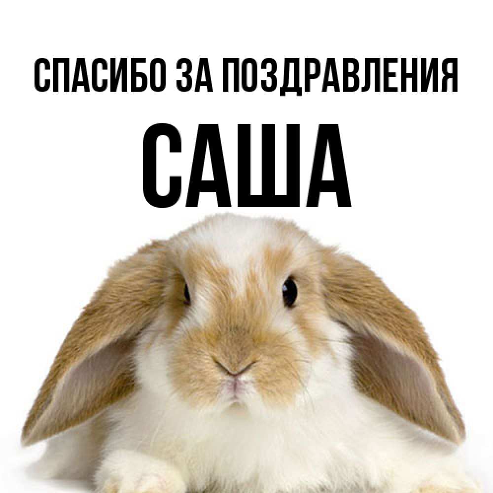 Открытка  с именем. Саша, Спасибо за поздравления  