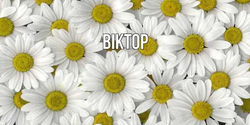 Картинка  с именем , Віктор