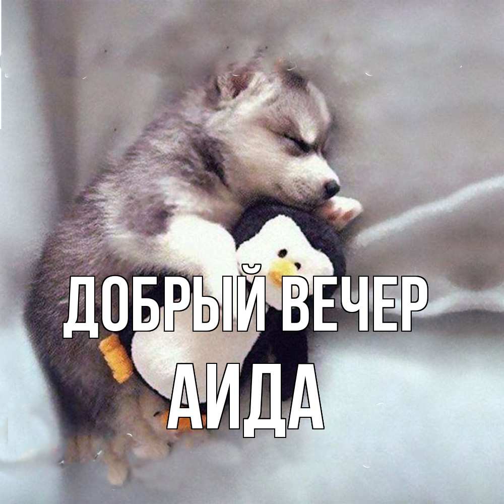 Открытка  с именем. Аида, Добрый вечер  