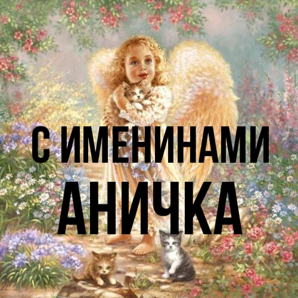 Открытка  с именем. Аничка, С именинами  