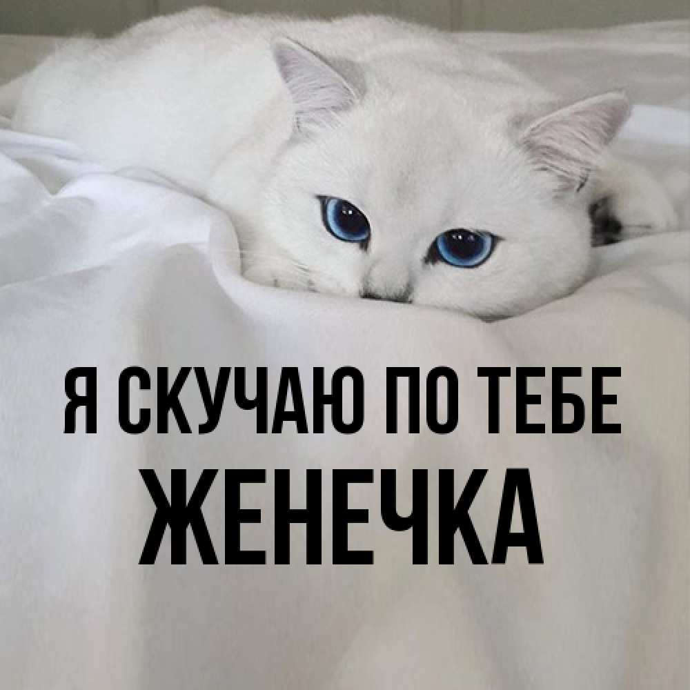 Открытка  с именем. Женечка, Я скучаю по тебе  