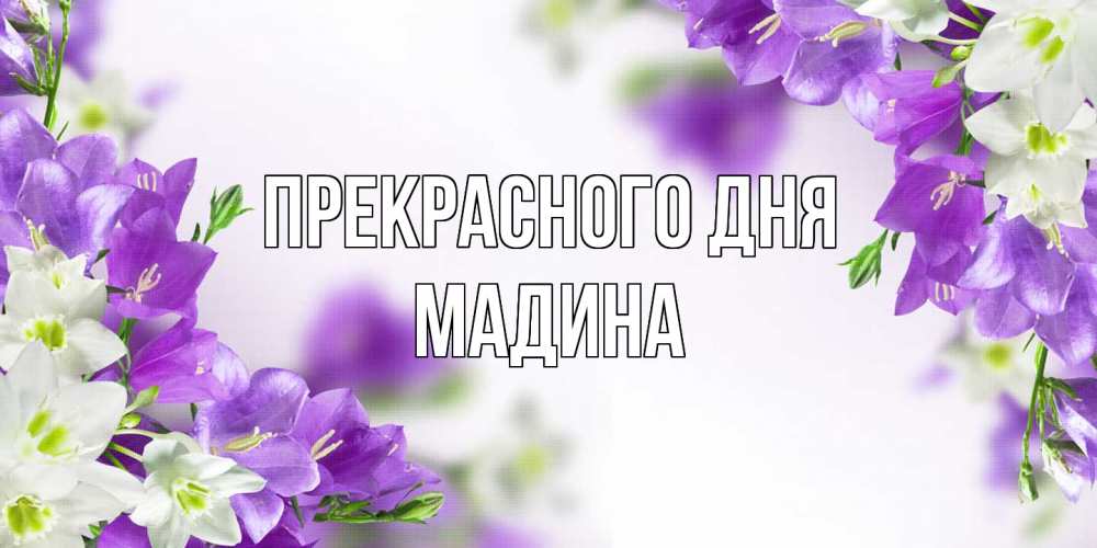 Открытка  с именем. Мадина, Прекрасного дня  