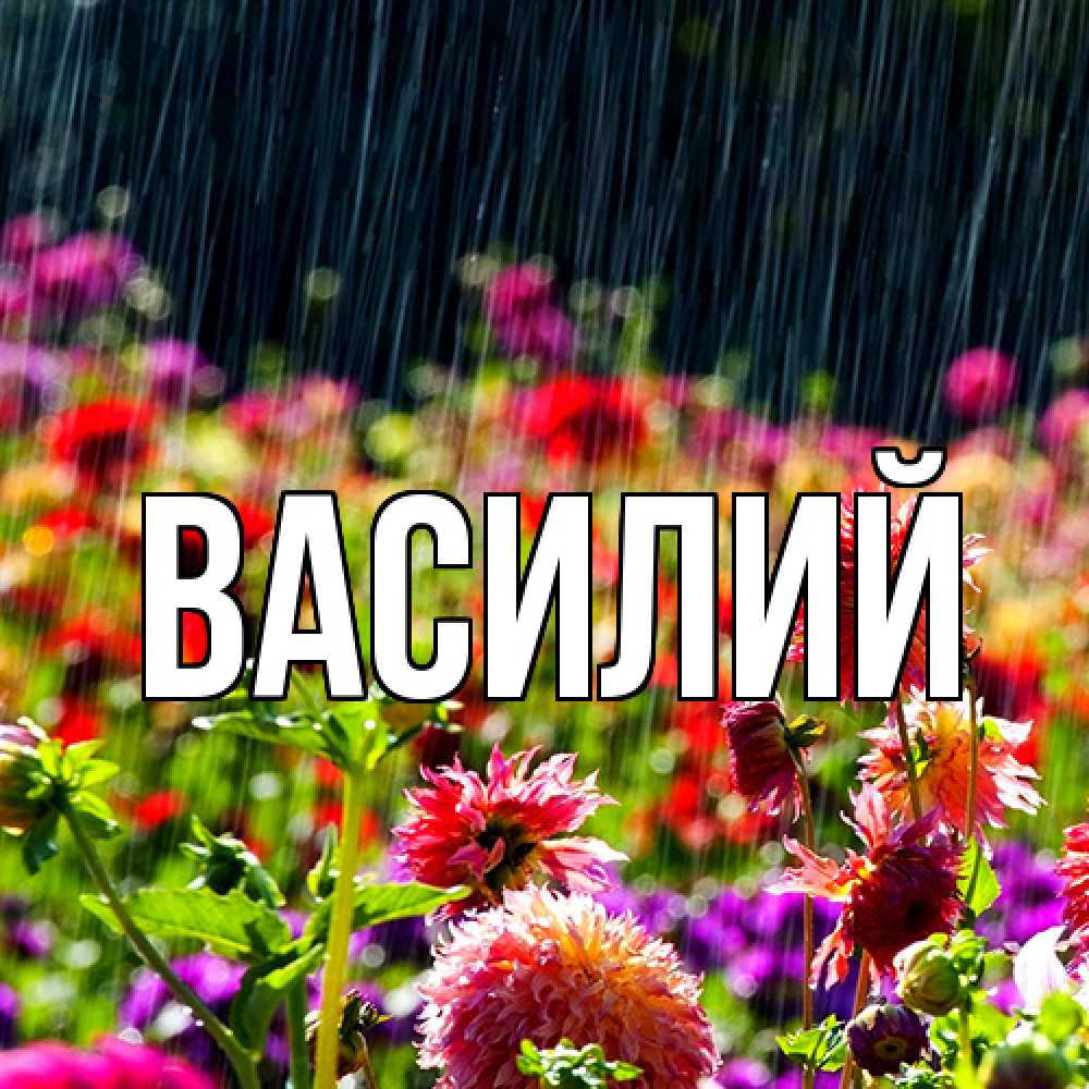 Открытка  с именем. Василий, Главная  