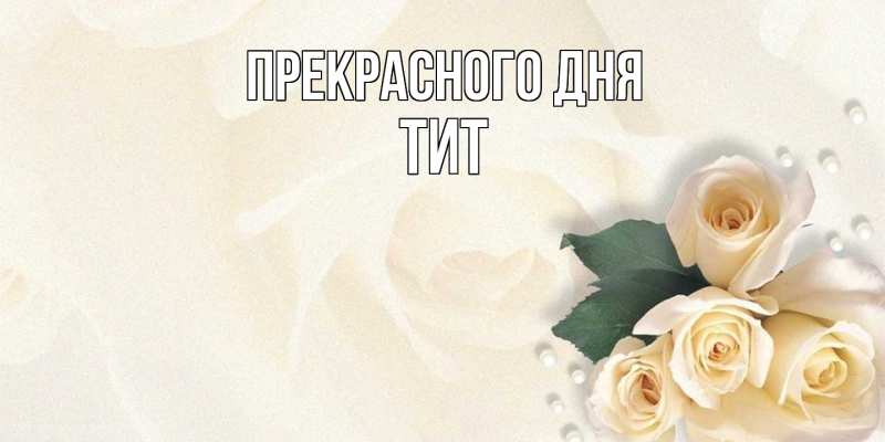 Картинка Прекрасного дня, Тит