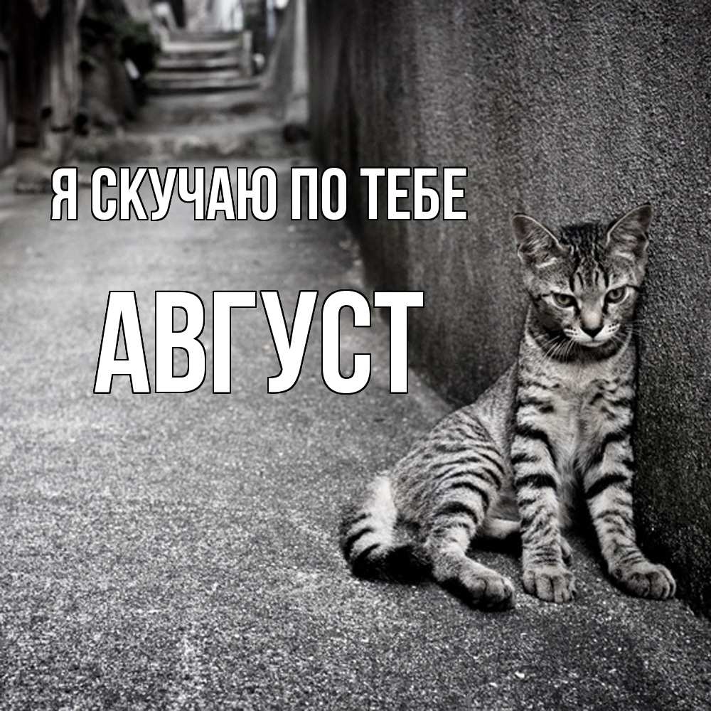 Открытка  с именем. Август, Я скучаю по тебе  