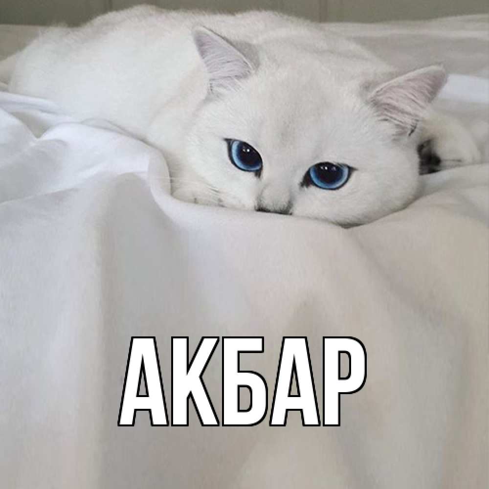 Открытка  с именем. Акбар, Главная  