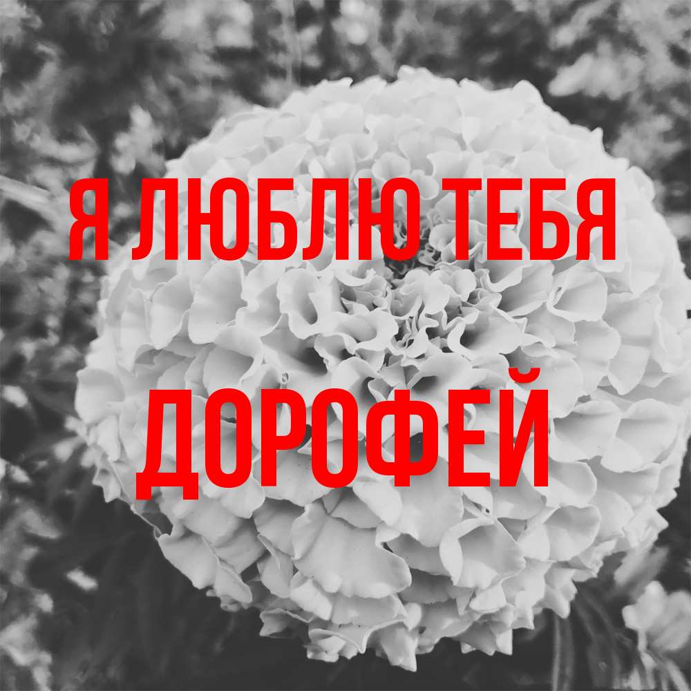 Открытка  с именем. Дорофей, Я люблю тебя  