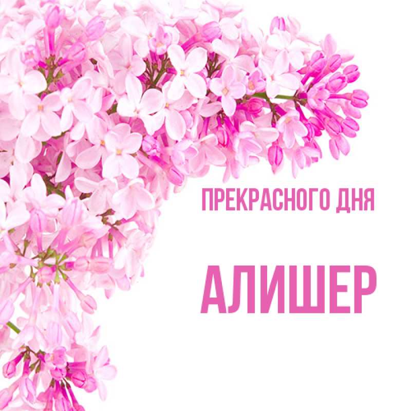 Картинка Прекрасного дня, Алишер