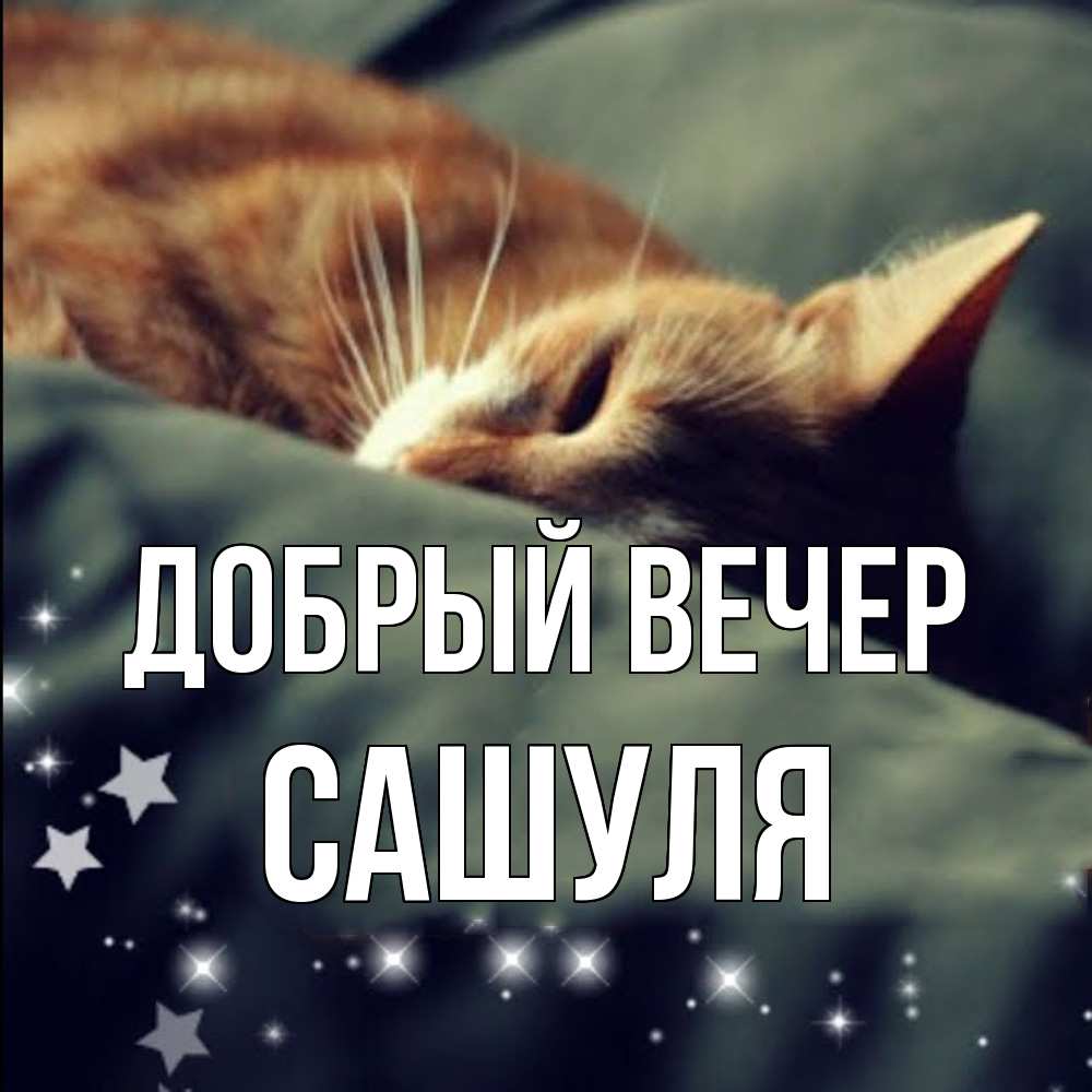 Открытка  с именем. Сашуля, Добрый вечер  