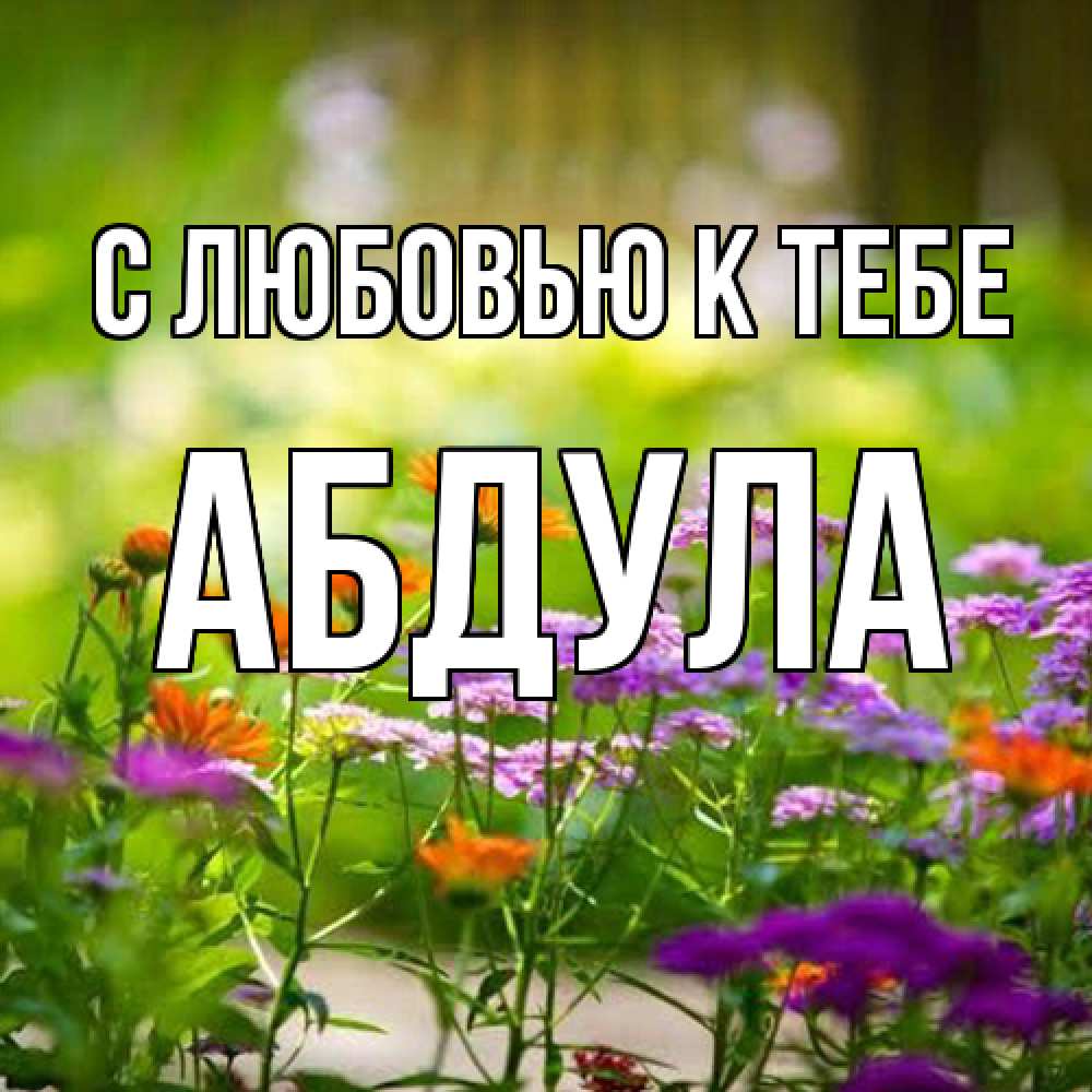 Открытка  с именем. Абдула, С любовью к тебе  