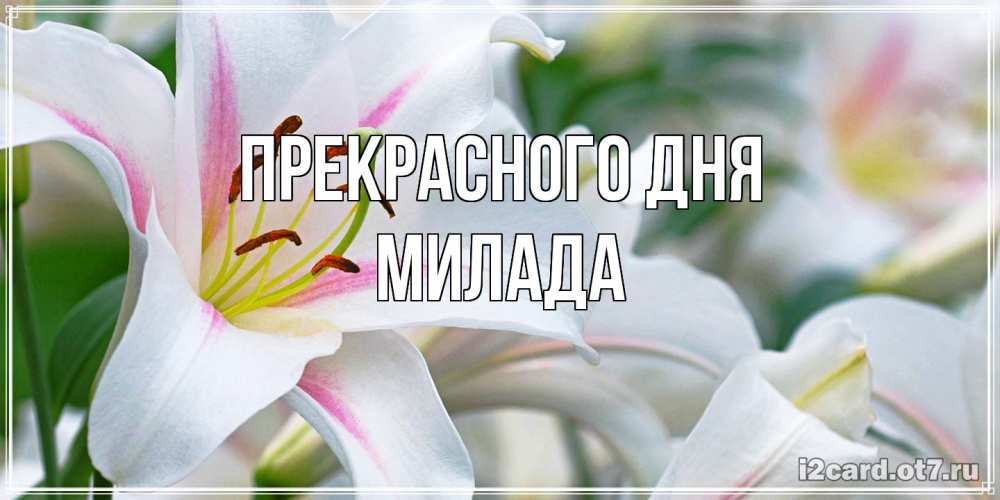 Открытка  с именем. Милада, Прекрасного дня  