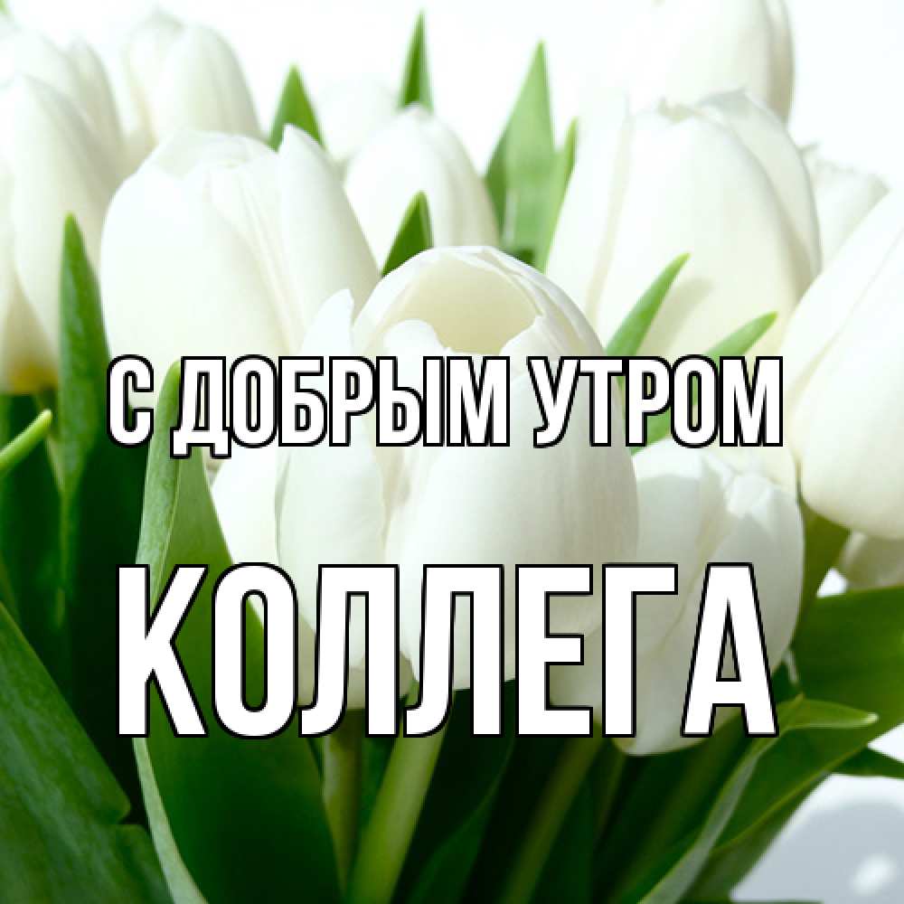 Открытка  с именем. коллега, С добрым утром  