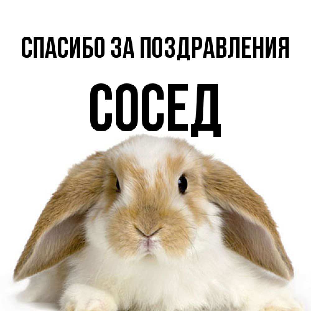Открытка  с именем. Сосед, Спасибо за поздравления  