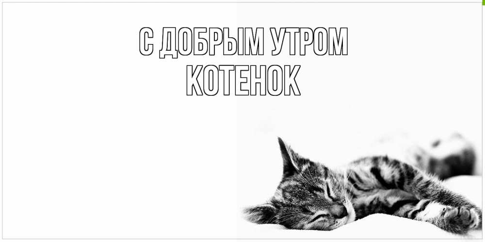 Открытка  с именем. Котенок, С добрым утром  