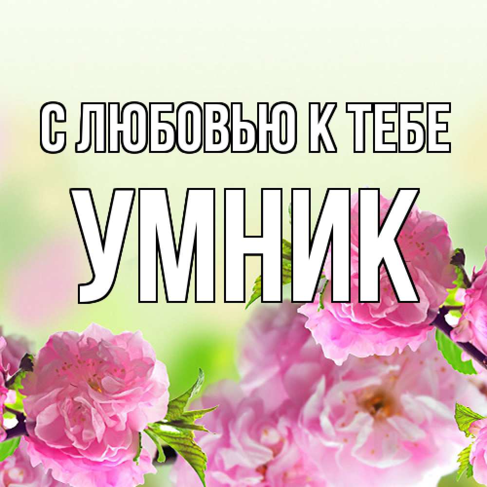 Открытка  с именем. Умник, С любовью к тебе  