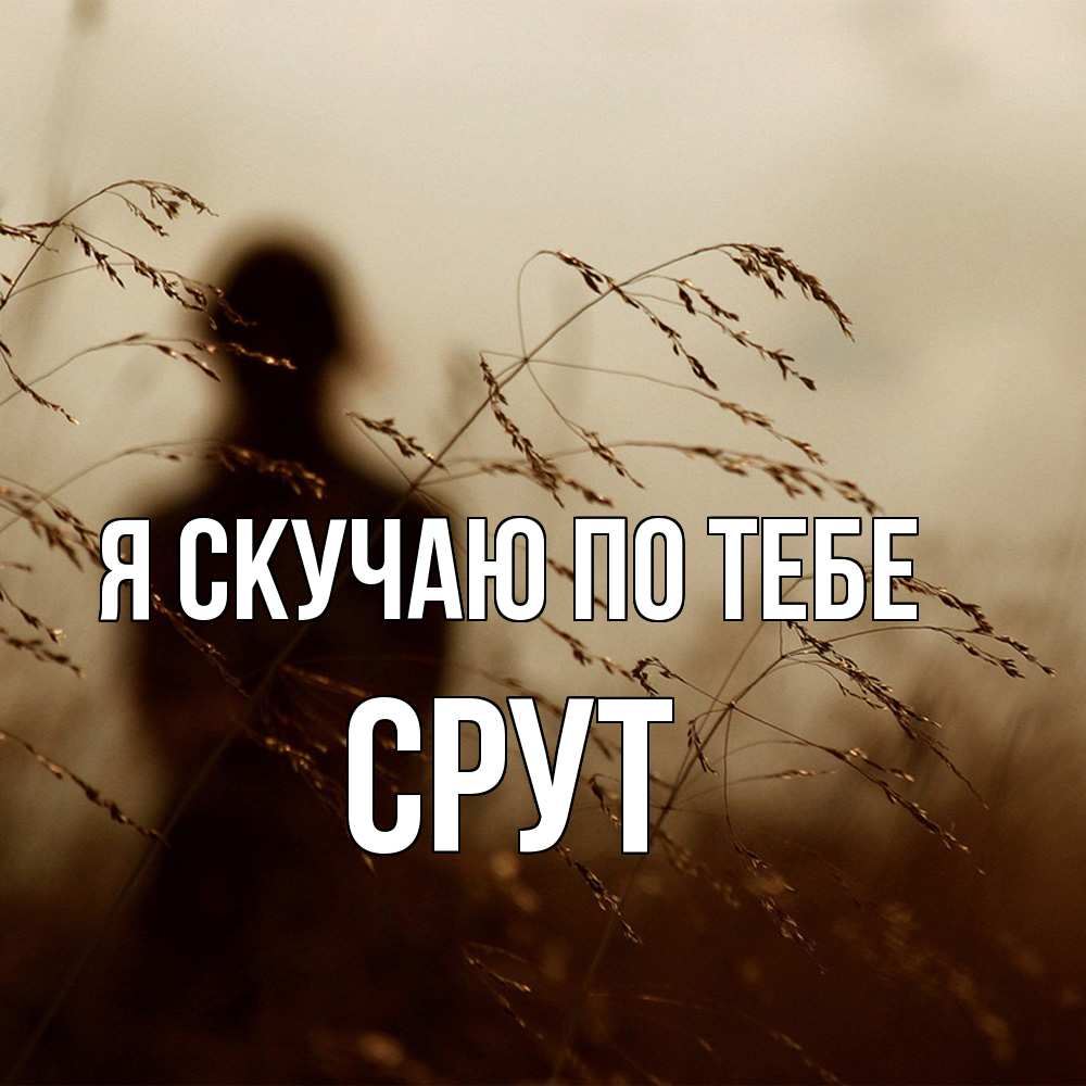 Открытка  с именем. срут, Я скучаю по тебе  