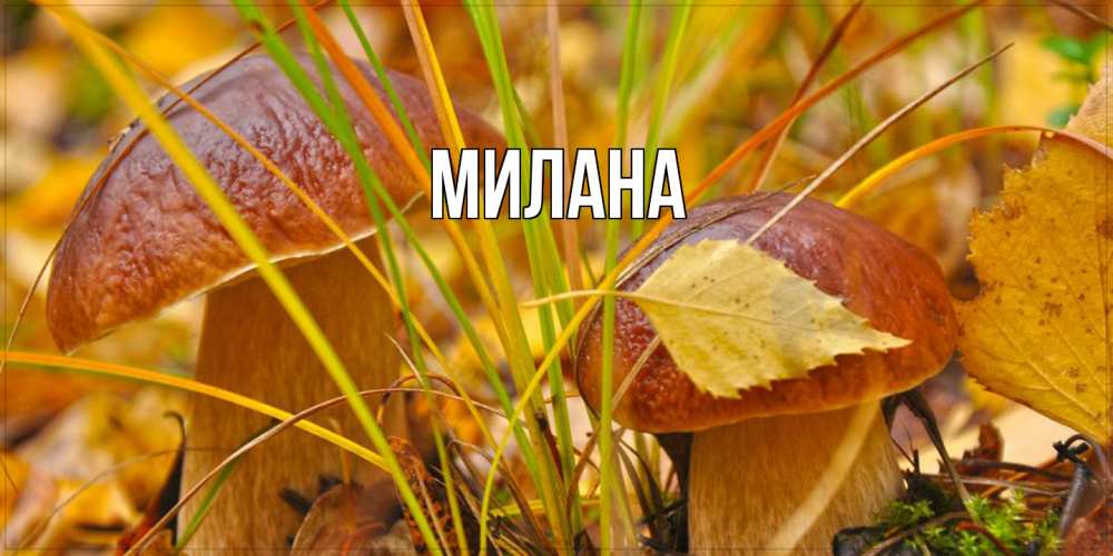 Открытка  с именем. Милана, Главная  