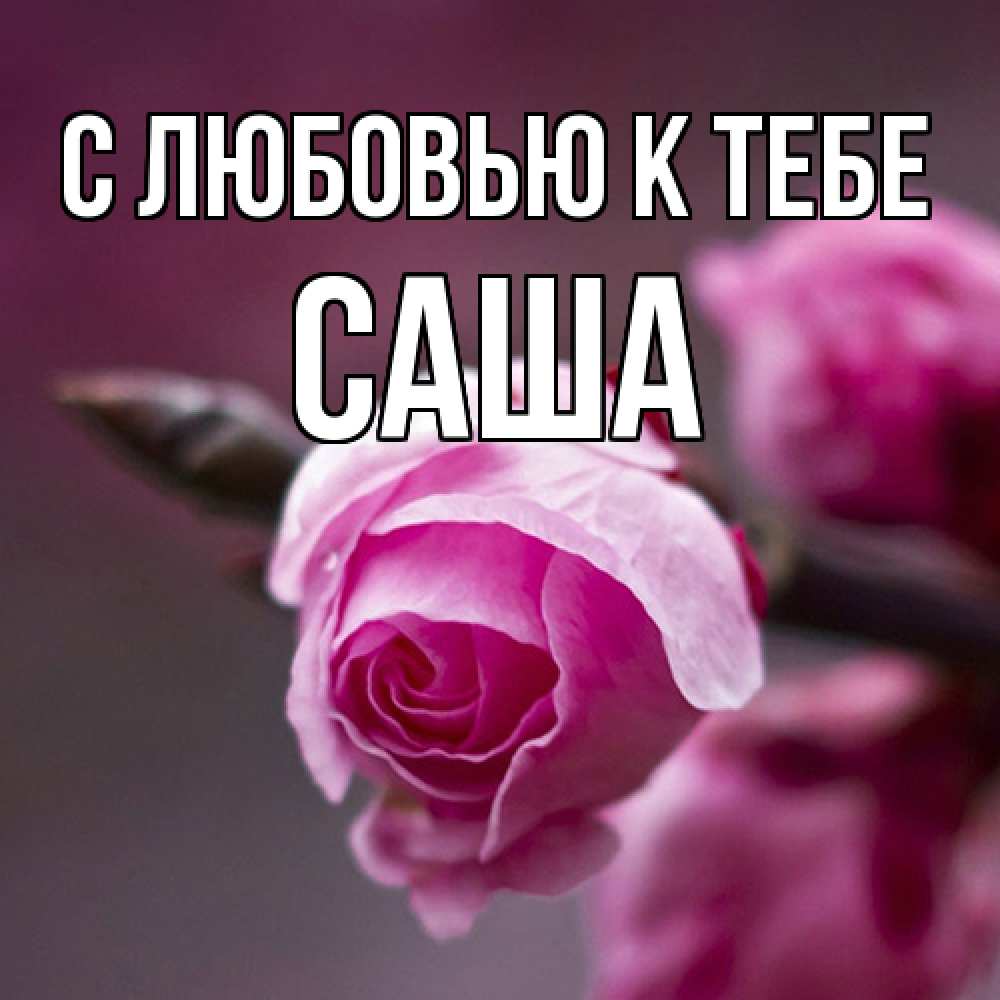 Открытка  с именем. Саша, С любовью к тебе  