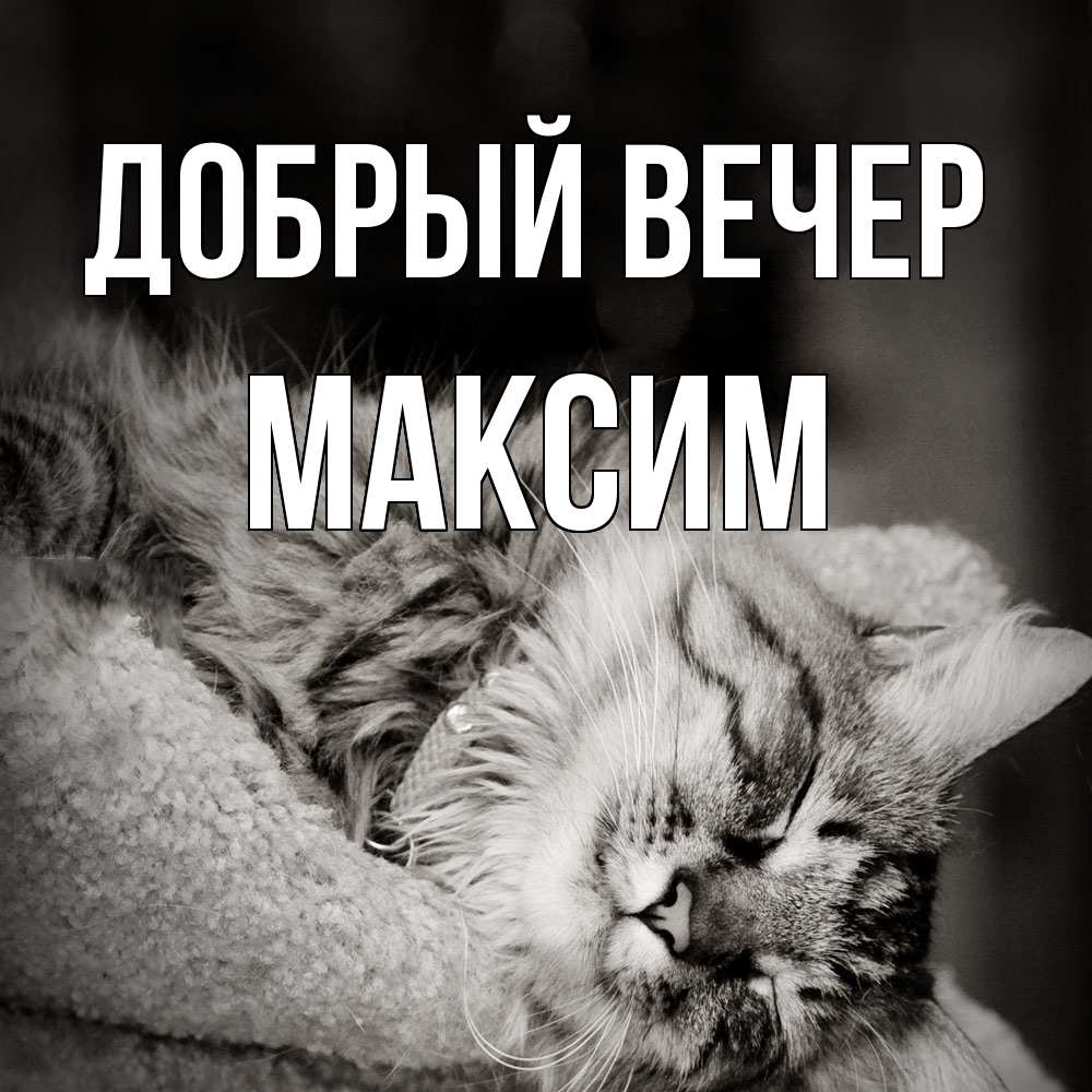 Открытка С Именем Максим Добрый Вечер. Открытки На Каждый День С.