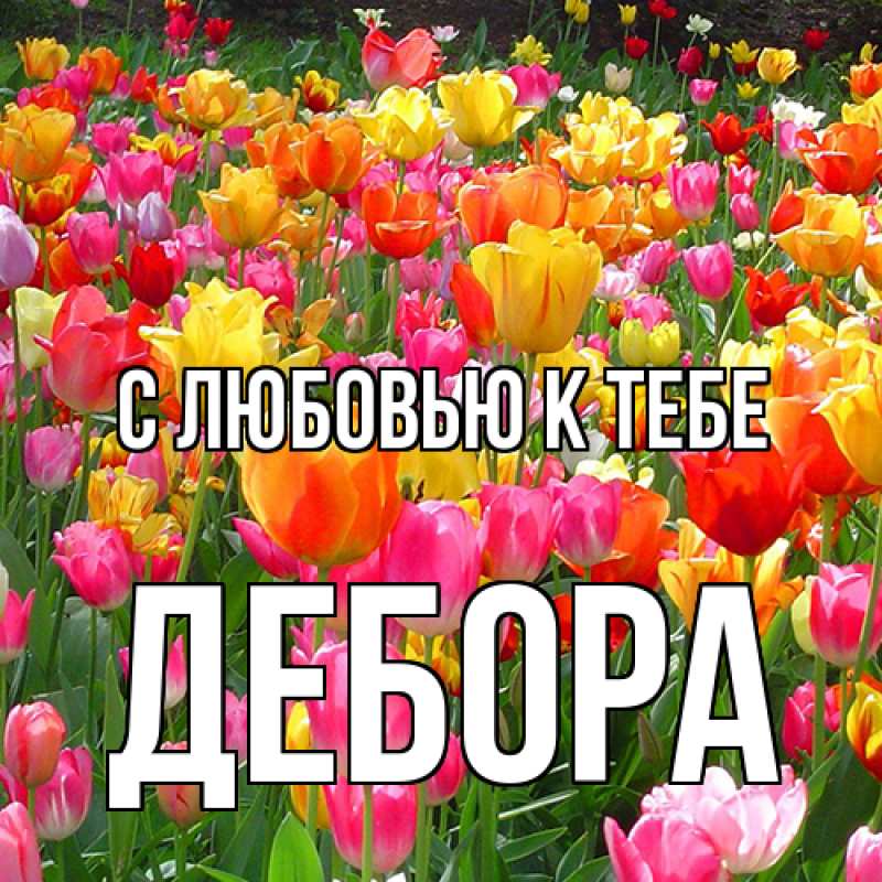 Картинка С любовью к тебе, Дебора