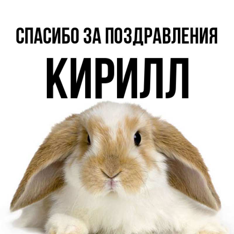 Картинка Спасибо за поздравления, кирилл