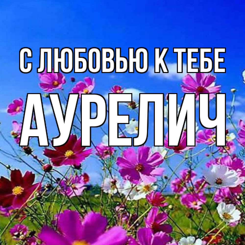 Открытка  с именем. Аурелич, С любовью к тебе  