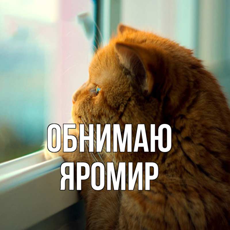 Картинка Обнимаю, Яромир