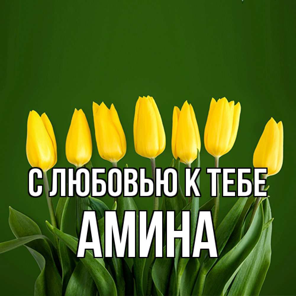 Открытка  с именем. Амина, С любовью к тебе  