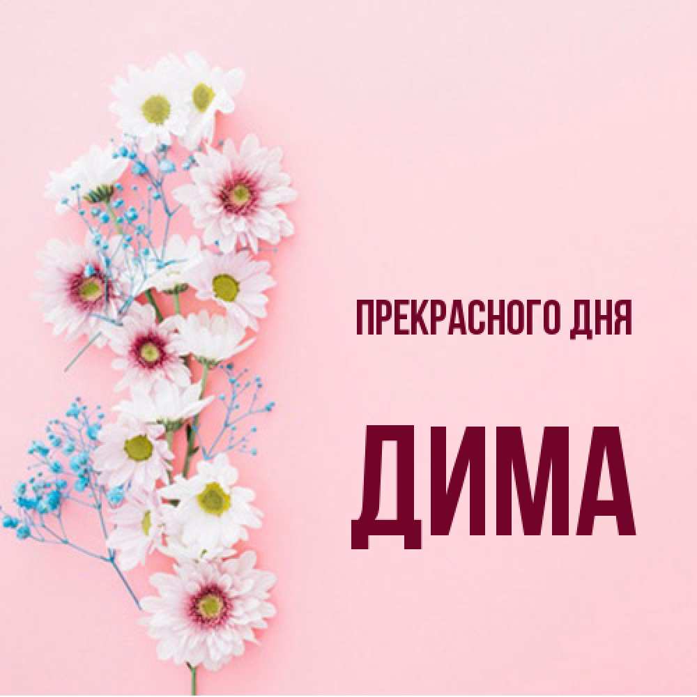 Открытка  с именем. Дима, Прекрасного дня  