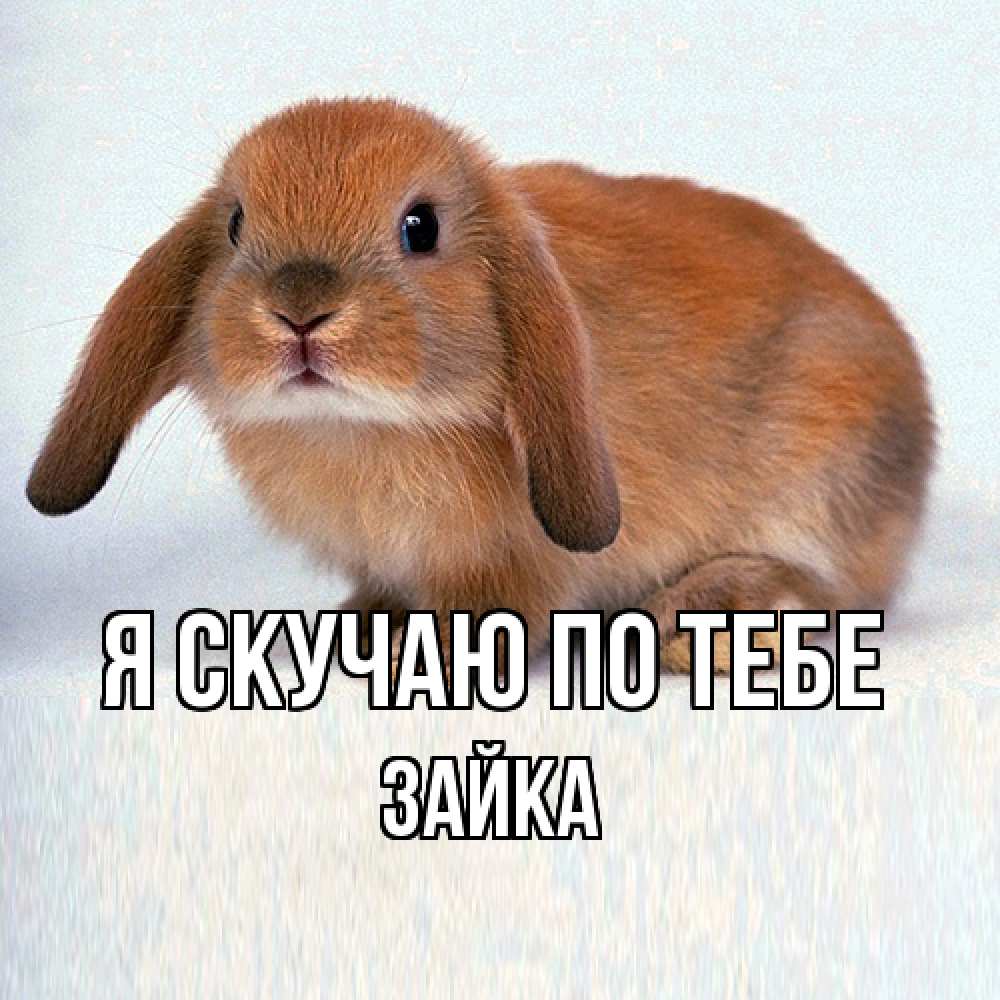 Открытка  с именем. Зайка, Я скучаю по тебе  