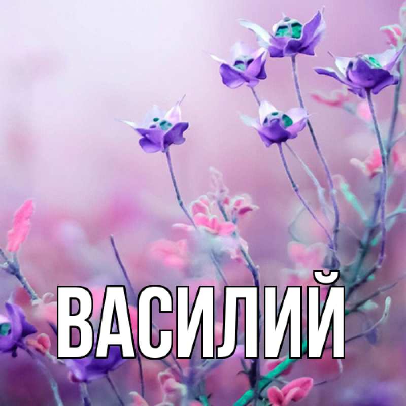 Картинка  с именем , Василий