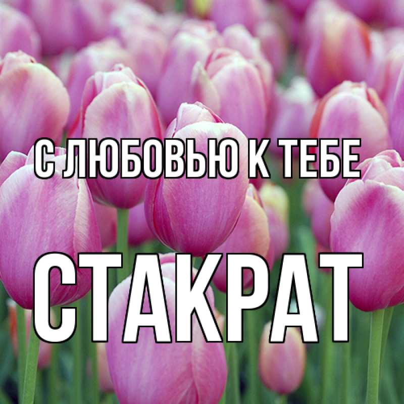 Картинка С любовью к тебе, Стакрат