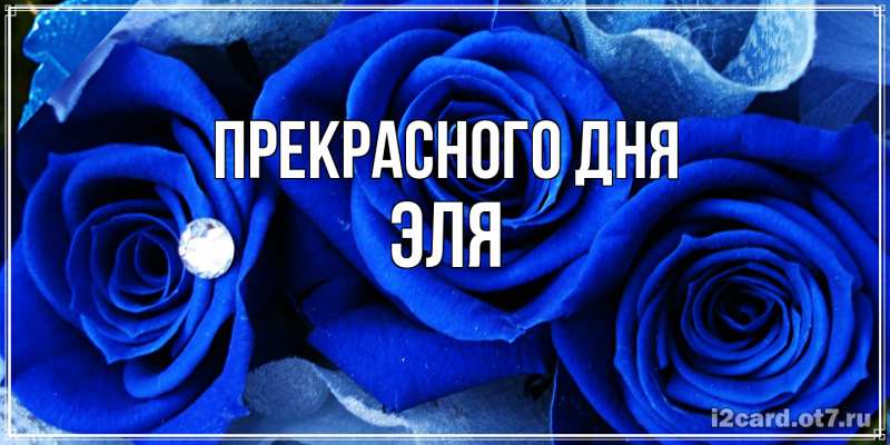 Картинка Прекрасного дня, Эля